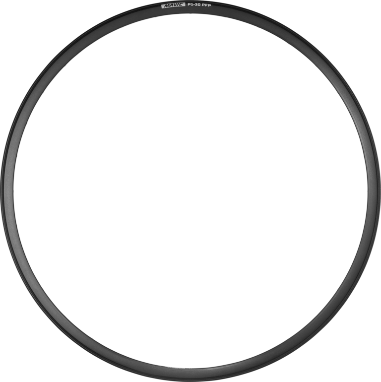 P1-30 PFP DISC 29