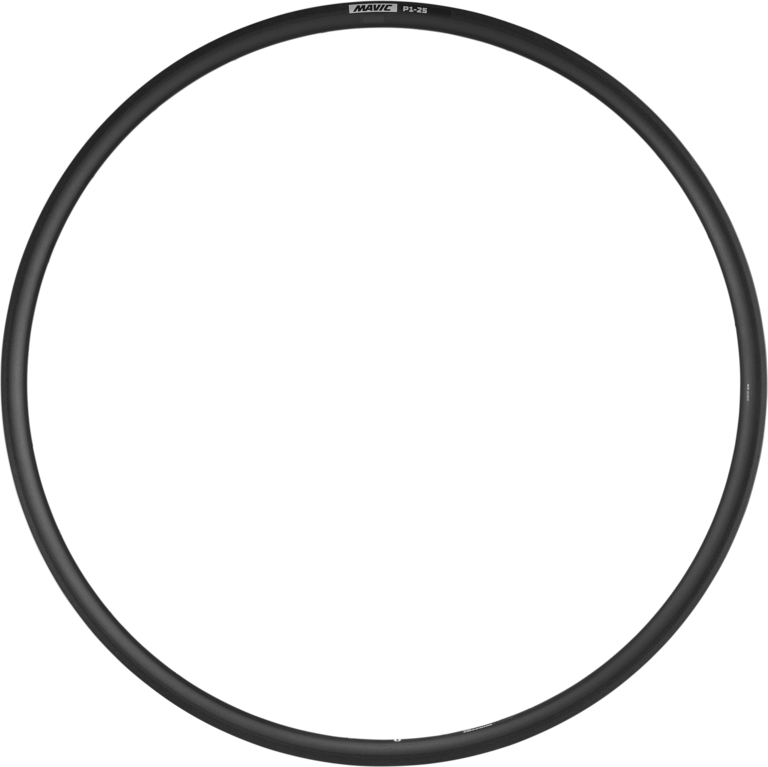 P1-25 DISC 700