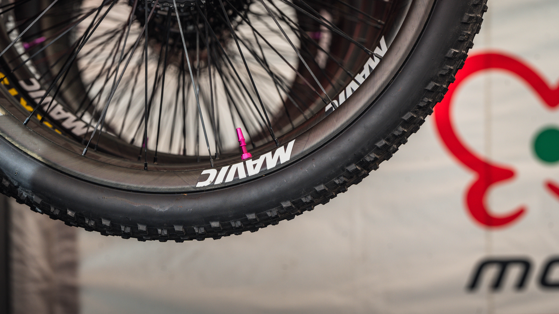 Find a Mavic Distributor