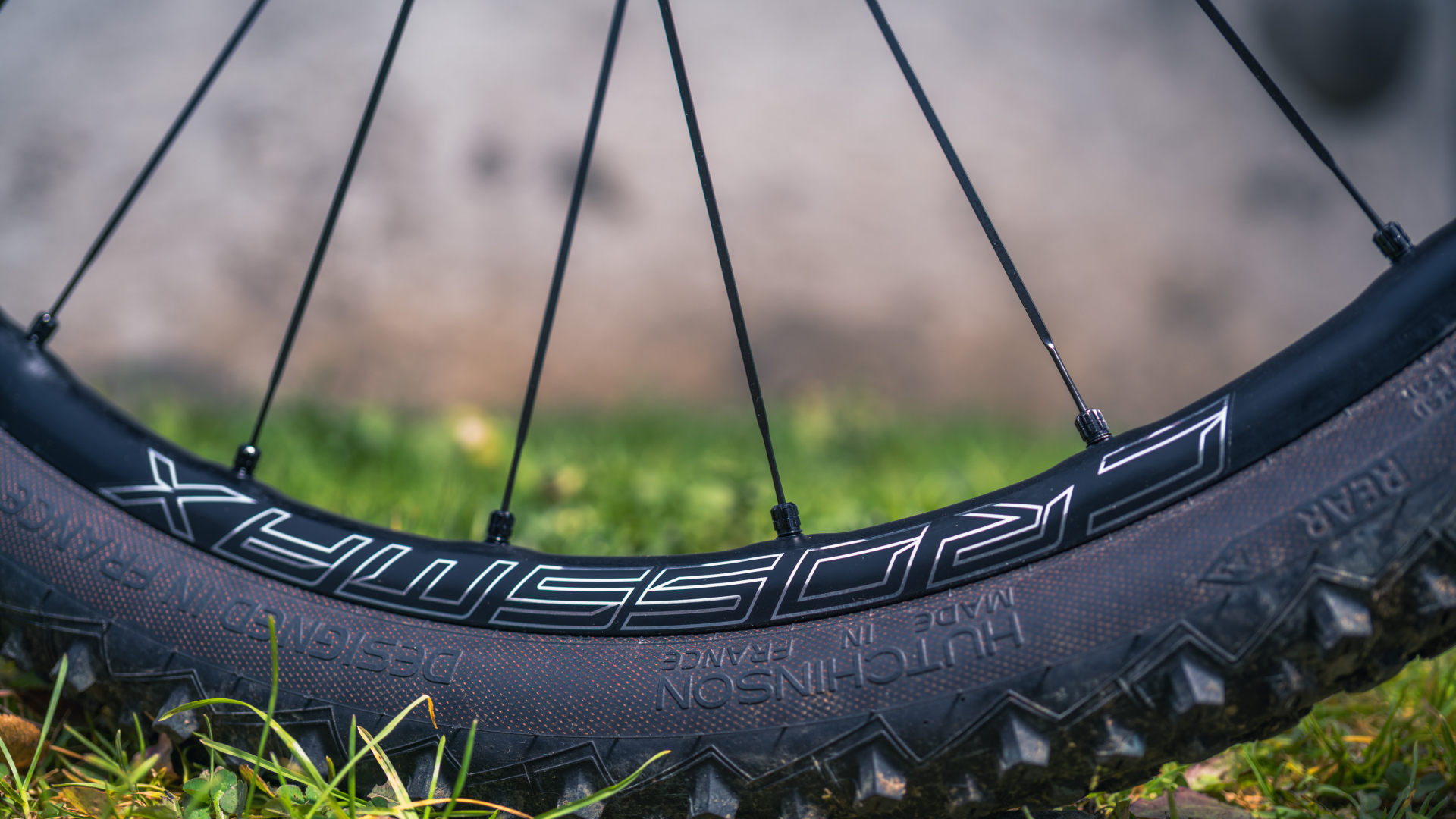 速く、効率的で、適応力がある