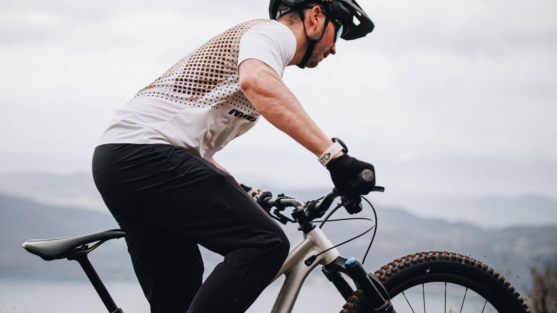 オールテレイン・イノベーション